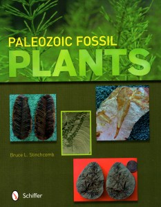 Paleozoic fossil plants cover